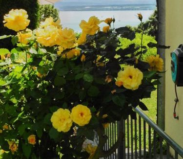 Hagnau Apartment | Family-Friendly FerienResidenz by the Lake - 4 Star Rated