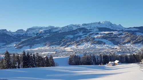 Meistersrute Ski Chalet | Family-Friendly Retreat at Ferienstudio Familie Fässler-Dörig