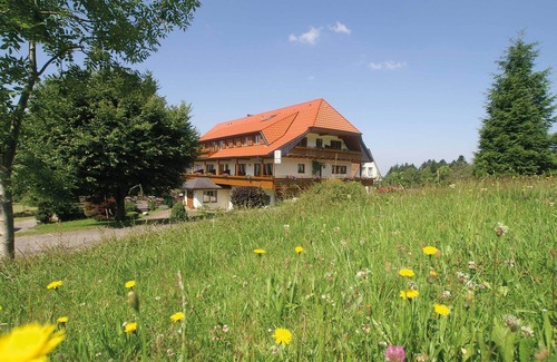 Bad Peterstal-Griesbach Apartment | Cozy Family Apartment with Kitchen and Breakfast Included