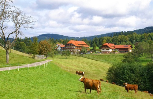 Bad Peterstal-Griesbach Apartment | Cozy Family Apartment with Kitchen and Breakfast Included