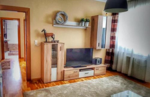 Klagenfurt am Woerthersee Apartment | Pet-Friendly Ferienwohnung Klagenfurt with Top Ratings