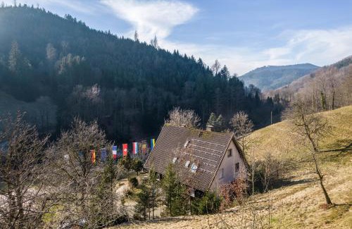 Bad Peterstal-Griesbach Apartment | Family-Friendly Getaway at Ferienwohnung Frechehof