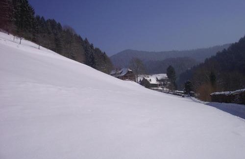Bad Rippoldsau-Schapbach Apartment | Discover Family-Friendly Ferienwohnungen Vogt's Libding