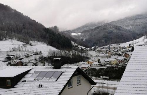Bad Peterstal-Griesbach Apartment | Pet-Friendly Ferienwohnung Hilde with High Guest Ratings