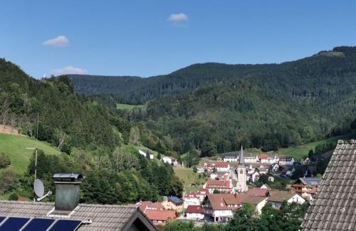 Bad Peterstal-Griesbach Apartment | Pet-Friendly Ferienwohnung Hilde with High Guest Ratings