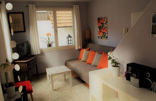 Haslach im Kinzigtal Apartment | Cozy 1-Bedroom Apartment with Spa and Breakfast Included