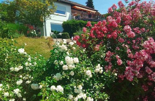 Heidenheim an der Brenz Apartment | Cozy Ferienwohnung Josi: Child-Friendly & Rated 9.1/10