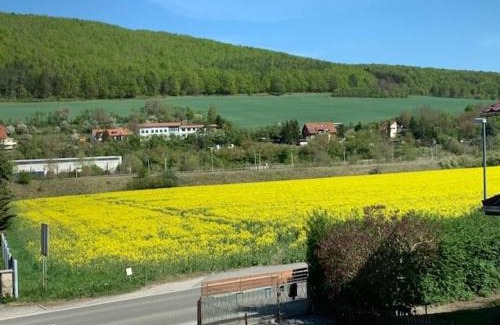 Obermaßfeld-Grimmenthal Apartment | Pet-Friendly Holiday Retreat at Ferienwohnung Werratal