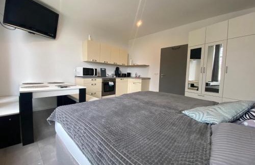 Reichenbach im Vogtland Apartment | Pet-Friendly Oceanview Retreat at Greizer Straße 26