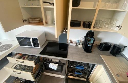 Reichenbach im Vogtland Apartment | Pet-Friendly Oceanview Retreat at Greizer Straße 26