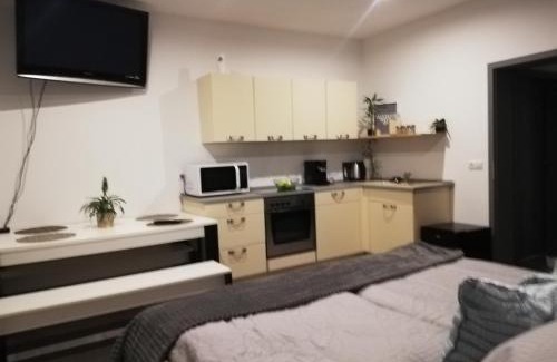 Reichenbach im Vogtland Apartment | Pet-Friendly Oceanview Retreat at Greizer Straße 26