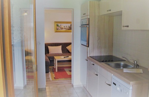 Unterschonau Apartment | Cozy Ferienwohnung Grünstein with Kitchen & Balcony