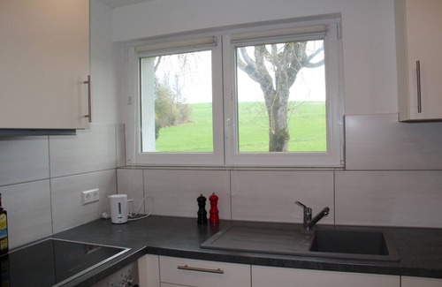 Uehlingen-Birkendorf Apartment | Elegant Terrace Getaway with Kitchen & Breakfast Options