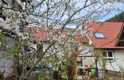 Bad Teinach-Zavelstein House | Guest Rated 10/10: Ferienwohnung TAL-ECK with Hot Tub