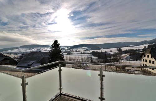 Bernau Apartment | Top-Rated Ferienwohnung Kraftquelle in SchwarzwaldBlick