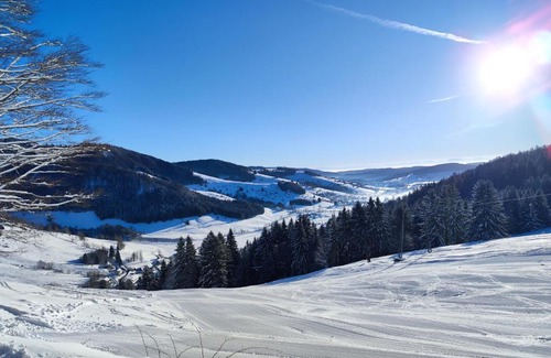 Bernau Apartment | Ferienwohnung Skilift Hofeck