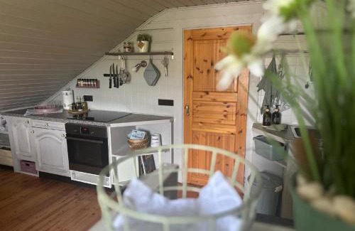 Hohenberg a.d.Eger Apartment | Ferienwohnung Midsommar