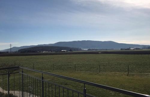 Rielasingen-Worblingen Apartment | Family-Friendly Ferienwohnung Reitanlage Winterhalder Awaits