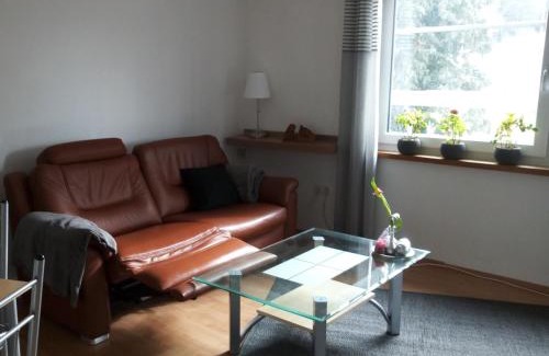 Villingen-Schwenningen Apartment | Pet-Friendly Ferienwohnung Margot: Rated 9/10 in VS