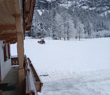 Sankt Johann in Tirol Apartment | Pet-Friendly Escape at Ferienwohnung Maurerhof - Rated 9/10