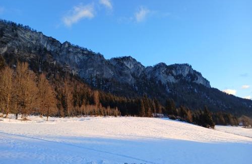 Sankt Johann in Tirol Apartment | Pet-Friendly Escape at Ferienwohnung Maurerhof - Rated 9/10