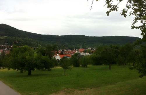 Dettingen an der Erms Apartment | Family-Friendly Ferienwohnungen Holder with High Guest Ratings