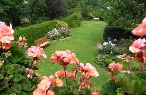 Riesenbeck Apartment | Welcoming Ferienwohnung Moorwiese for Family Getaways