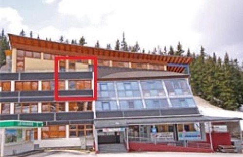 Irdning-Donnersbachtal Apartment | Pet-Friendly Ferienwohnung 11 Planneralm with High Ratings