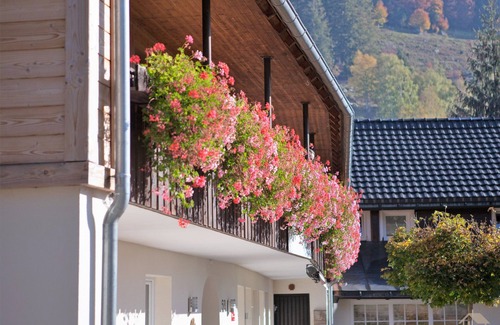 St. Blasien Apartment | Cozy 1-Bedroom Ferienwohnung 2 Feldberg for Your Getaway