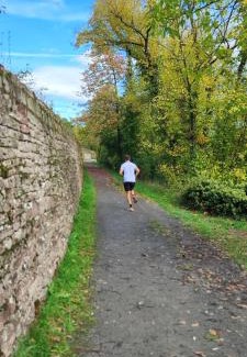 Kreuzwertheim Apartment | Family-Friendly Ferienwohnung 29 with Excellent Reviews
