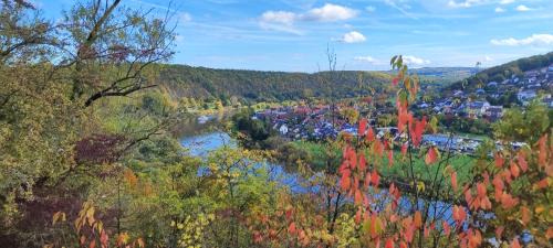 Kreuzwertheim Apartment | Family-Friendly Ferienwohnung 29 with Excellent Reviews
