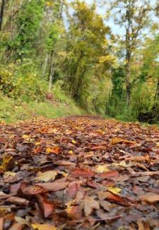 Kreuzwertheim Apartment | Family-Friendly Ferienwohnung 29 with Excellent Reviews