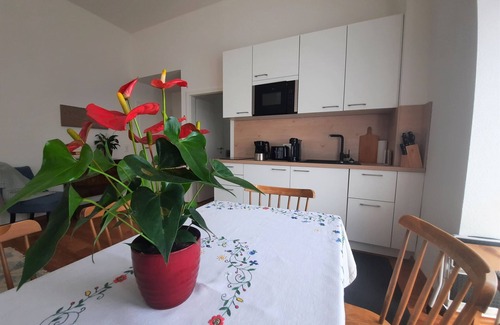Oberkirch Apartment | Cozy 1-Bedroom Apartment with Kitchen & Breakfast Included