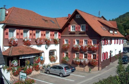 Forbach Apartment | Cozy Apartment with Kitchen and Breakfast for 3 Guests