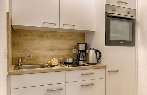 St. Blasien Apartment | Pet-Friendly Ferienwohnung 9 Spiesshorn with Kitchen Access
