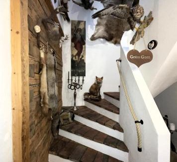 Muhr Apartment | Pet-Friendly Ferienwohnung Aigner with Top Guest Rating 9.4
