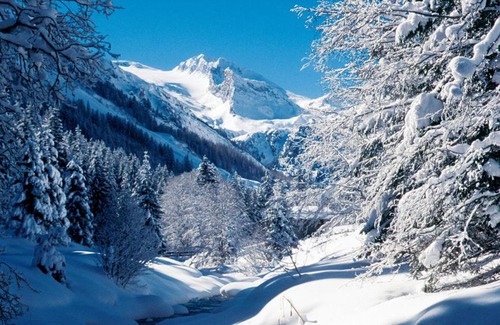 Madseit Apartment | Child-Friendly Alpenheim: Guest Rated 9.6/10
