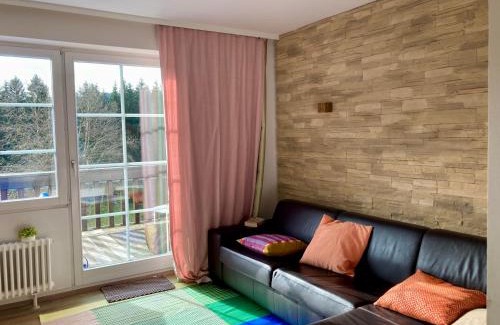 Hinterzarten Apartment | Discover Cozy Apartments in Hinterzarten, Germany