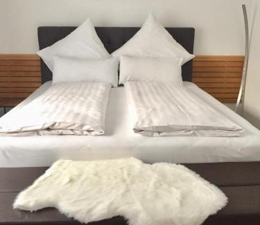 Friedrichshafen Apartment | Cozy Lakeview Getaway with Garden & Free WiFi for Families