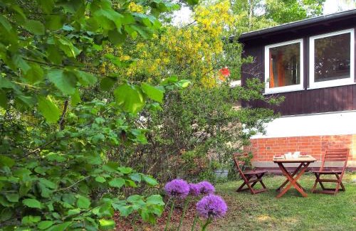 Dummer Apartment | Pet-Friendly Retreat at Ferienwohnung am Dümmer See