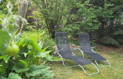 Dummer Apartment | Pet-Friendly Retreat at Ferienwohnung am Dümmer See