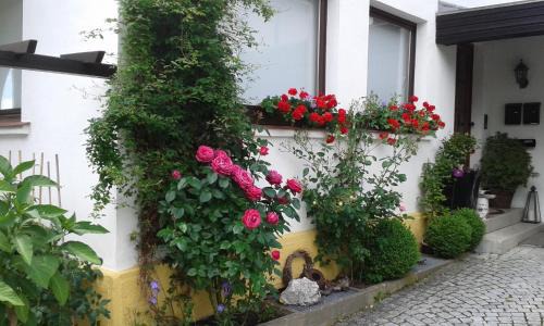 Berg Apartment | Pet-Friendly Retreat at Ferienwohnung "Am Eisenbühl" - 9.5/10