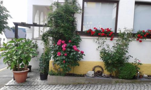 Berg Apartment | Pet-Friendly Retreat at Ferienwohnung "Am Eisenbühl" - 9.5/10