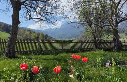 Reichenau an der Rax House | Ferienwohnung am Fuße der Rax