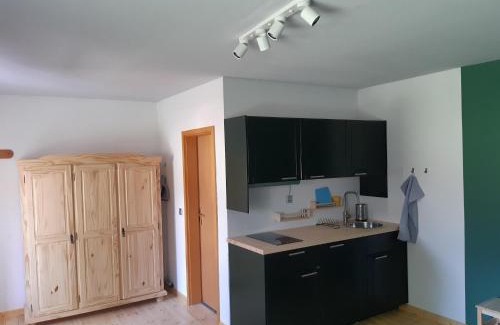 Mecklenburgische Kleinseenplatte Apartment | Inviting Apartment at the Vilzsee, Mirow for Families
