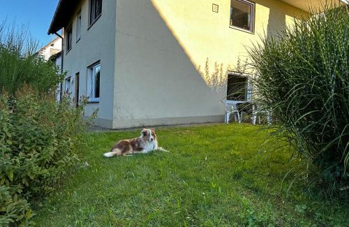 Sendelbach Apartment | Ferienwohnung am Romberg