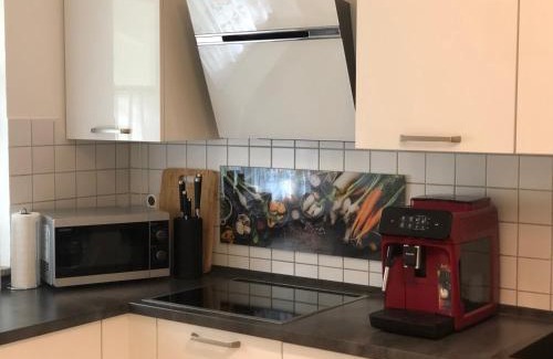 Pfullendorf Apartment | Stunning Ferienwohnung am Seepark with Ocean View & Dining