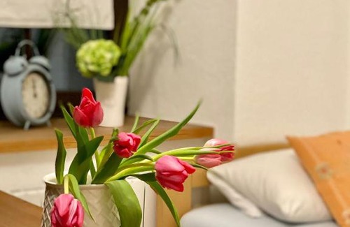 Meissen Apartment | Cozy Ferienwohnung am Weinberg: Family & Pet-Friendly Stay