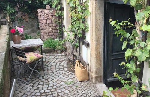 Meissen Apartment | Cozy Ferienwohnung am Weinberg: Family & Pet-Friendly Stay