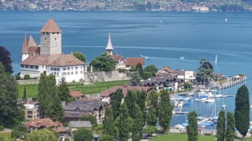 Spiez Apartment | Oceanfront Retreat: Ferienwohnung Ankerplatz with Pets Welcome